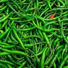 Green Chilli (Hari Mirch)